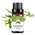 Pasokan pabrik 100% minyak esensial Eucalyptus globulus Murni